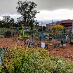 Newburgh Armory Unity Center - Newburgh