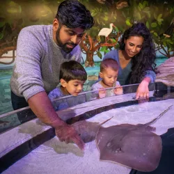 Aquarium of Niagara - Niagara Falls