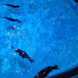 Aquarium of Niagara - Niagara Falls