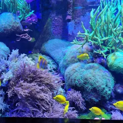 Aquarium of Niagara - Niagara Falls