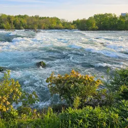 Niagara Falls State Park - Niagara Falls