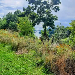 Niagara Gorge Trail - Niagara Falls