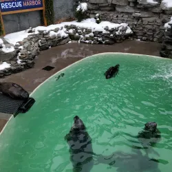 Niagara Gorge Trail - Niagara Falls