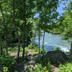 Niagara Gorge Trail - Niagara Falls