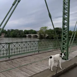 Chenango Riverwalk - Norwich