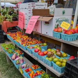 Norwich Farmers Market - Norwich