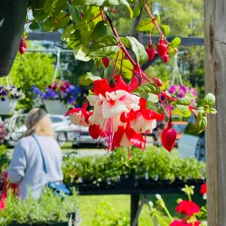 Norwich Farmers Market - Norwich