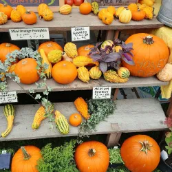 Norwich Farmers Market - Norwich