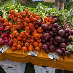 Norwich Farmers Market - Norwich