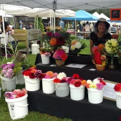 Norwich Farmers Market - Norwich