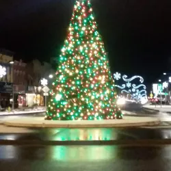 Allegheny River - Olean