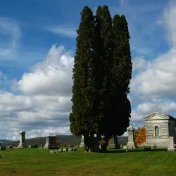 Allegheny River - Olean