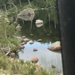 Allegheny River - Olean