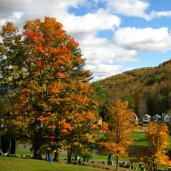 Allegheny River - Olean