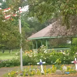 Allegheny River - Olean