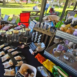 Olean Farmers Market - Olean