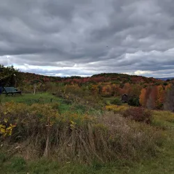 Hawk Eye Lookout - Oneonta