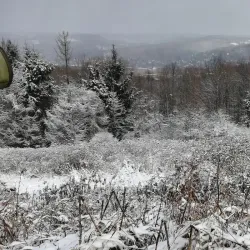 Hawk Eye Lookout - Oneonta