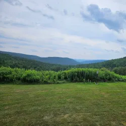 Hawk Eye Lookout - Oneonta