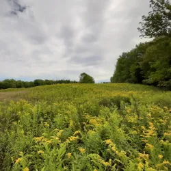 Hawk Eye Lookout - Oneonta