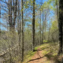 Hawk Eye Lookout - Oneonta