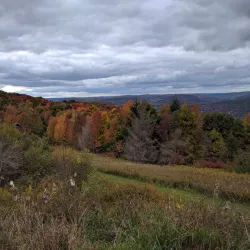 Hawk Eye Lookout - Oneonta