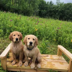 Hawk Eye Lookout - Oneonta