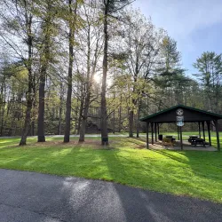 Oneonta Community Gardens - Oneonta