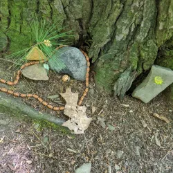 Oneonta Community Gardens - Oneonta
