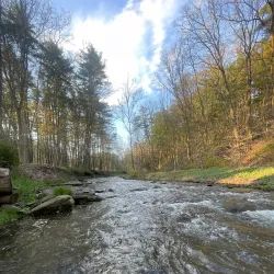 Oneonta Community Gardens - Oneonta