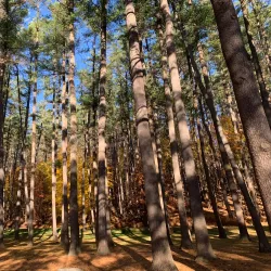 Oneonta Community Gardens - Oneonta