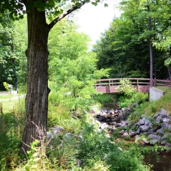 Oneonta Community Gardens - Oneonta