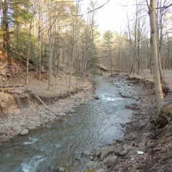 Oneonta Community Gardens - Oneonta