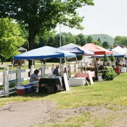 Oneonta Farmers Market - Oneonta