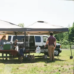 Oneonta Farmers Market - Oneonta