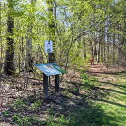 Susquehanna River Walk - Oneonta