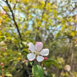 Susquehanna River Walk - Oneonta