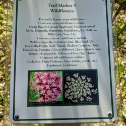 Susquehanna River Walk - Oneonta