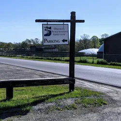 Susquehanna River Walk - Oneonta