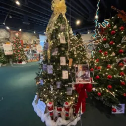 The Roberson Museum and Science Center - Oneonta