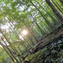 Blue Mountain Reservation - Pleasantville