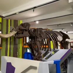 Mid-Hudson Children's Museum - Poughkeepsie