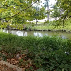 Poughkeepsie Farmers' Market - Poughkeepsie