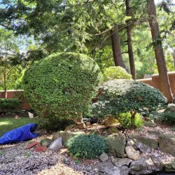 Louis Armstrong House Museum - Queens
