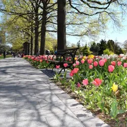 Queens Botanical Garden - Queens