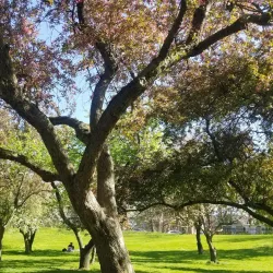 Queens Botanical Garden - Queens