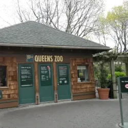 Queens Zoo - Queens