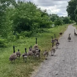 Erie Canal Heritage Trail - Rochester