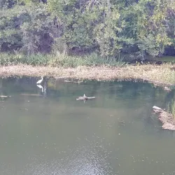 Genesee Riverway Trail - Rochester