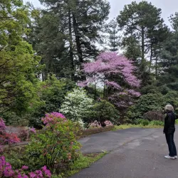 Highland Park - Rochester